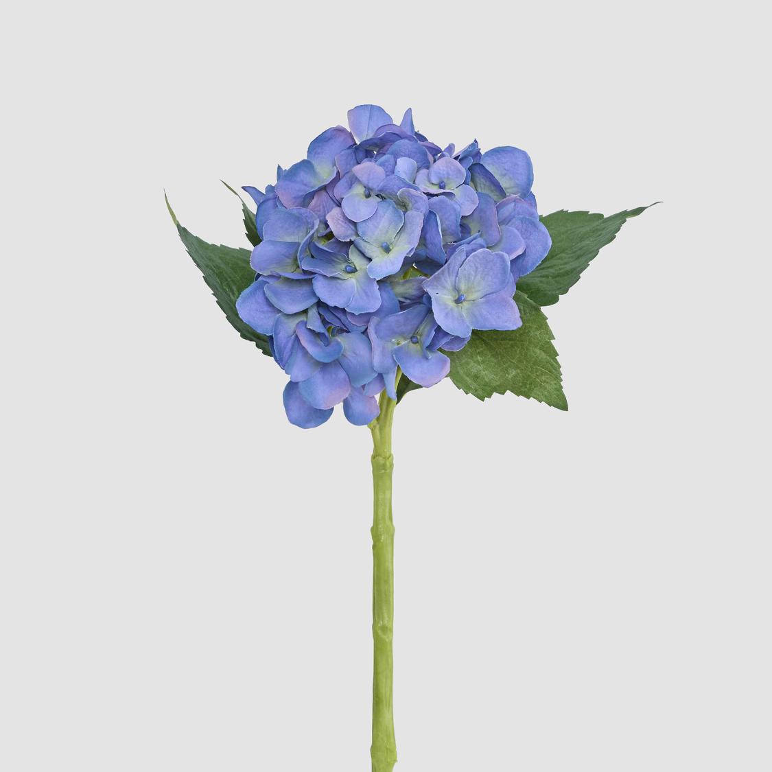 Hydrangea Water 49cm Dark Blue
