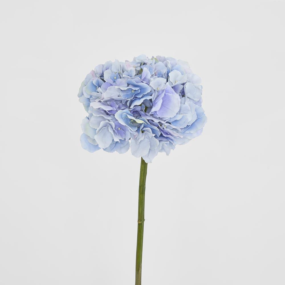Hydrangea 50cm Light Blue