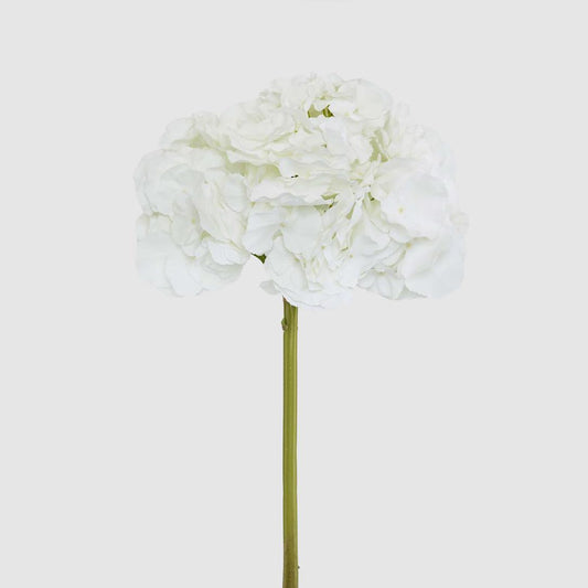 Hydrangea 50cm Snow White