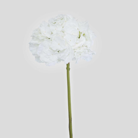 Hydrangea 50cm Snow White