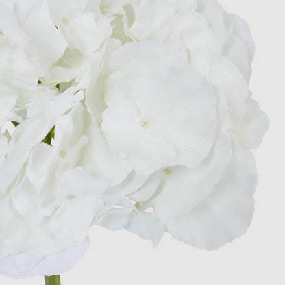 Hydrangea 50cm Snow White