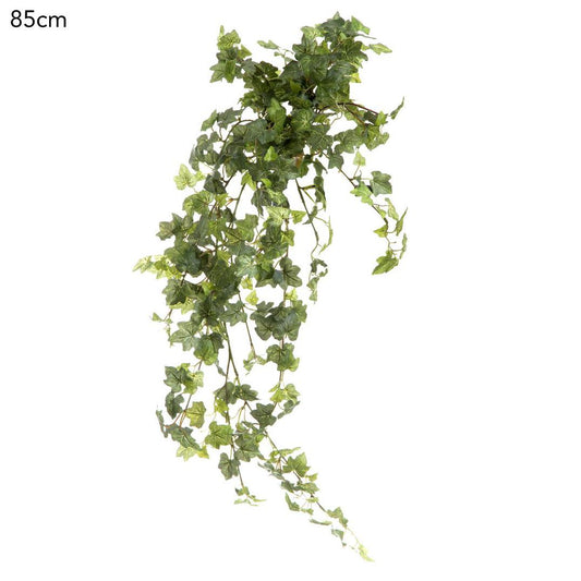 Ivy Bush Hanging Vine 85cm