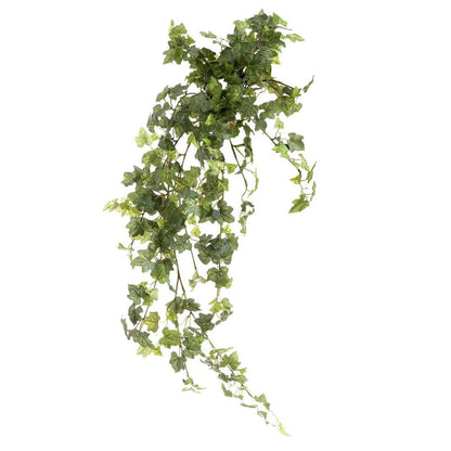 Ivy Bush Hanging Vine 85cm