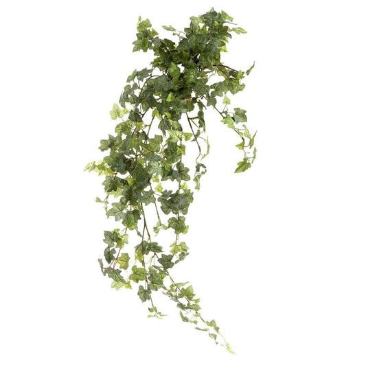 Ivy Bush Hanging Vine 85cm