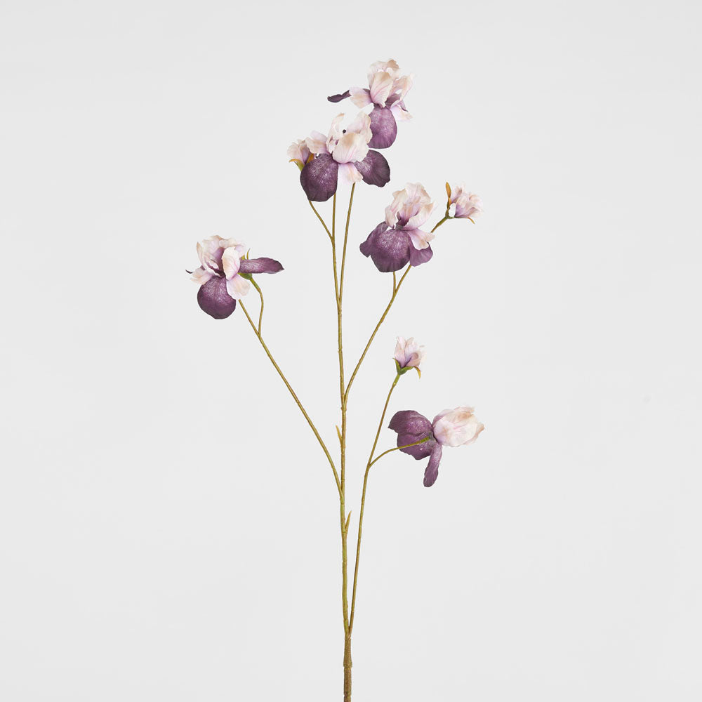 Iris Purple 94cm