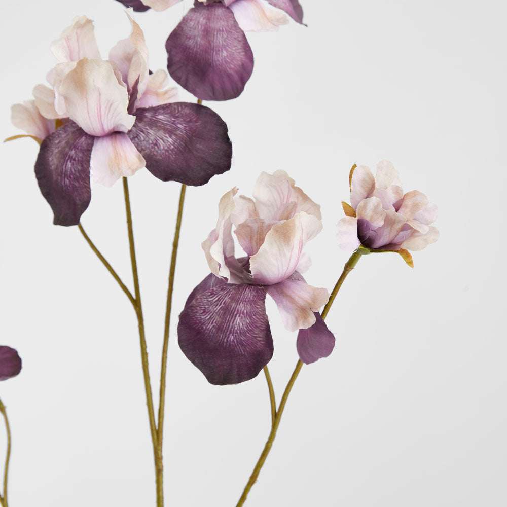 Iris Purple 94cm