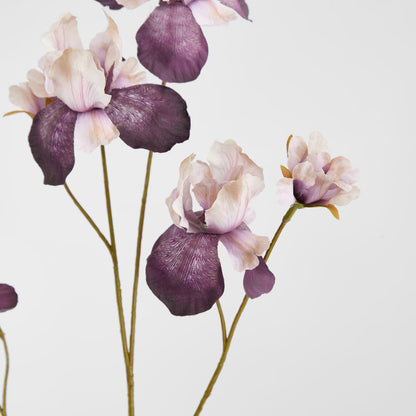 Iris Purple 94cm