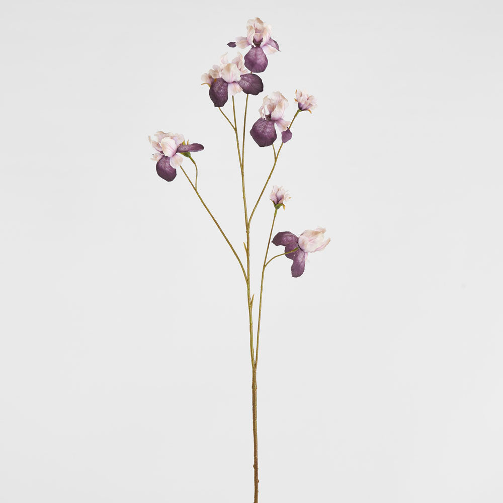 Iris Purple 94cm
