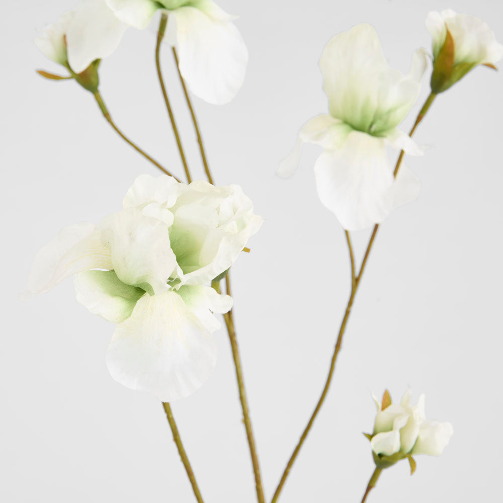 Iris White 94cm