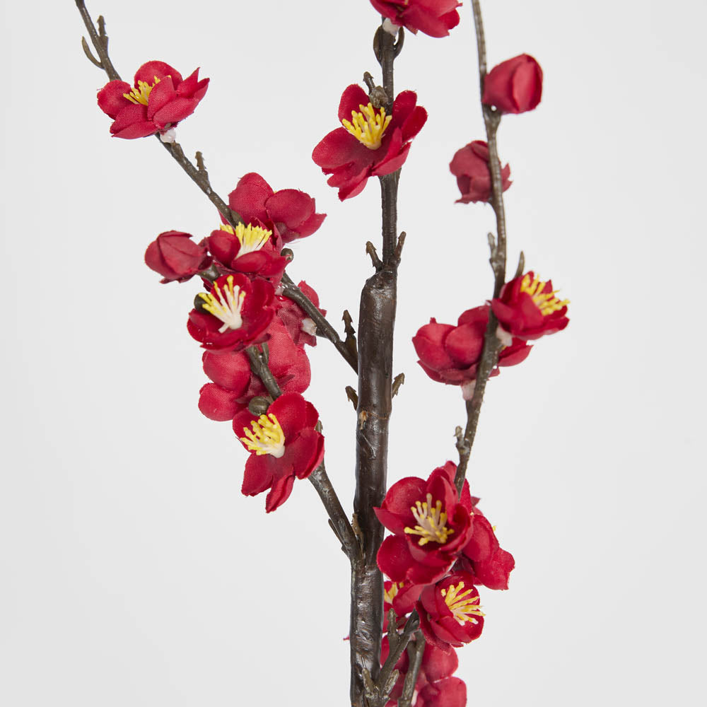Japonica Blossom Stem 120cm Red