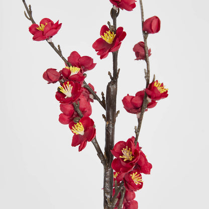 Japonica Blossom Stem 120cm Red