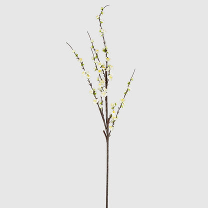 Japonica Blossom Stem 120cm White