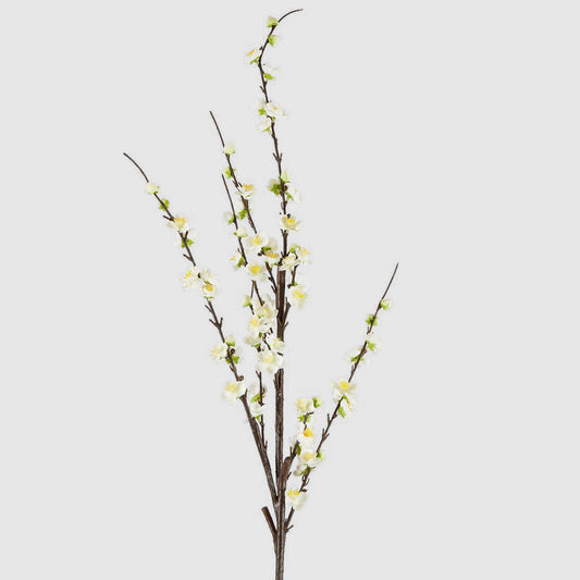 Japonica Blossom Stem 120cm White