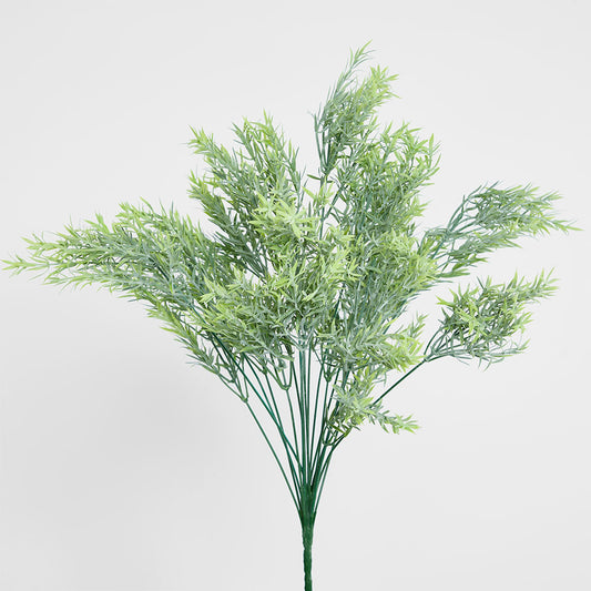 Willow Grass Bush