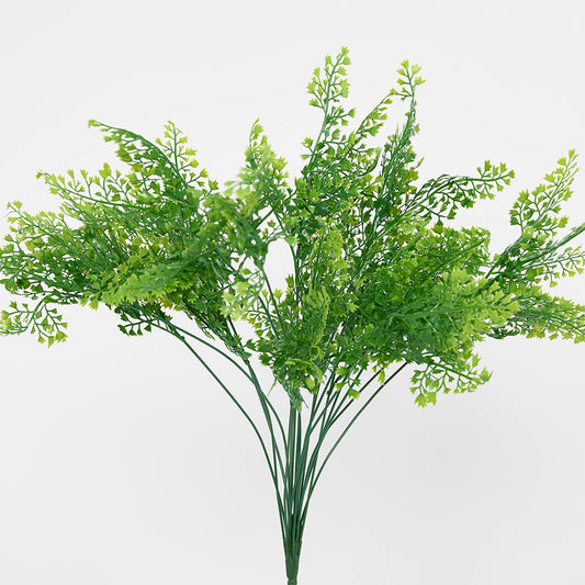 Maidenhair Fern Bush