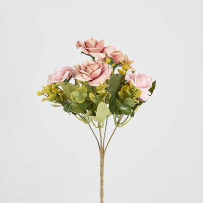Rose Bush Assorted