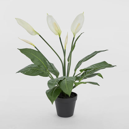 Real Touch Potted Spathiphyllum Bush 61cm