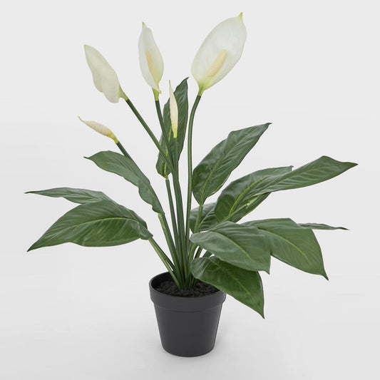 Real Touch Potted Spathiphyllum Bush 61cm