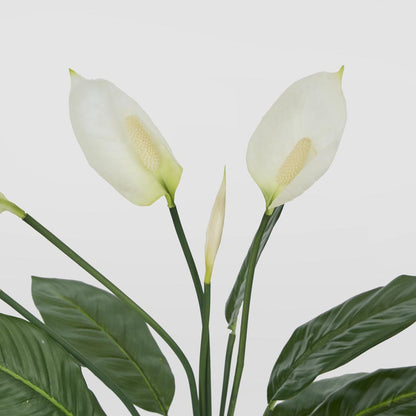 Real Touch Potted Spathiphyllum Bush 61cm