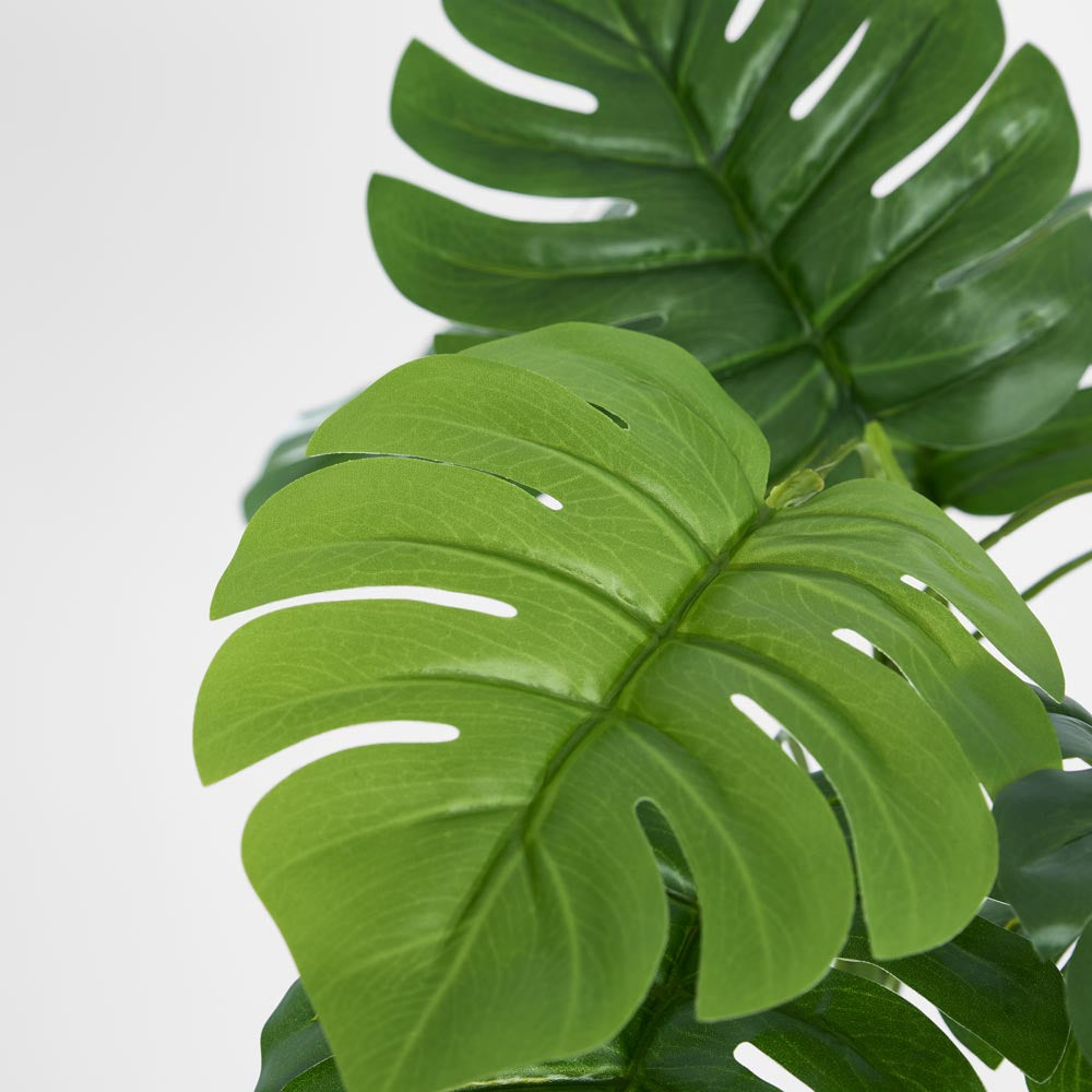 Philo Split Leaf Bush
