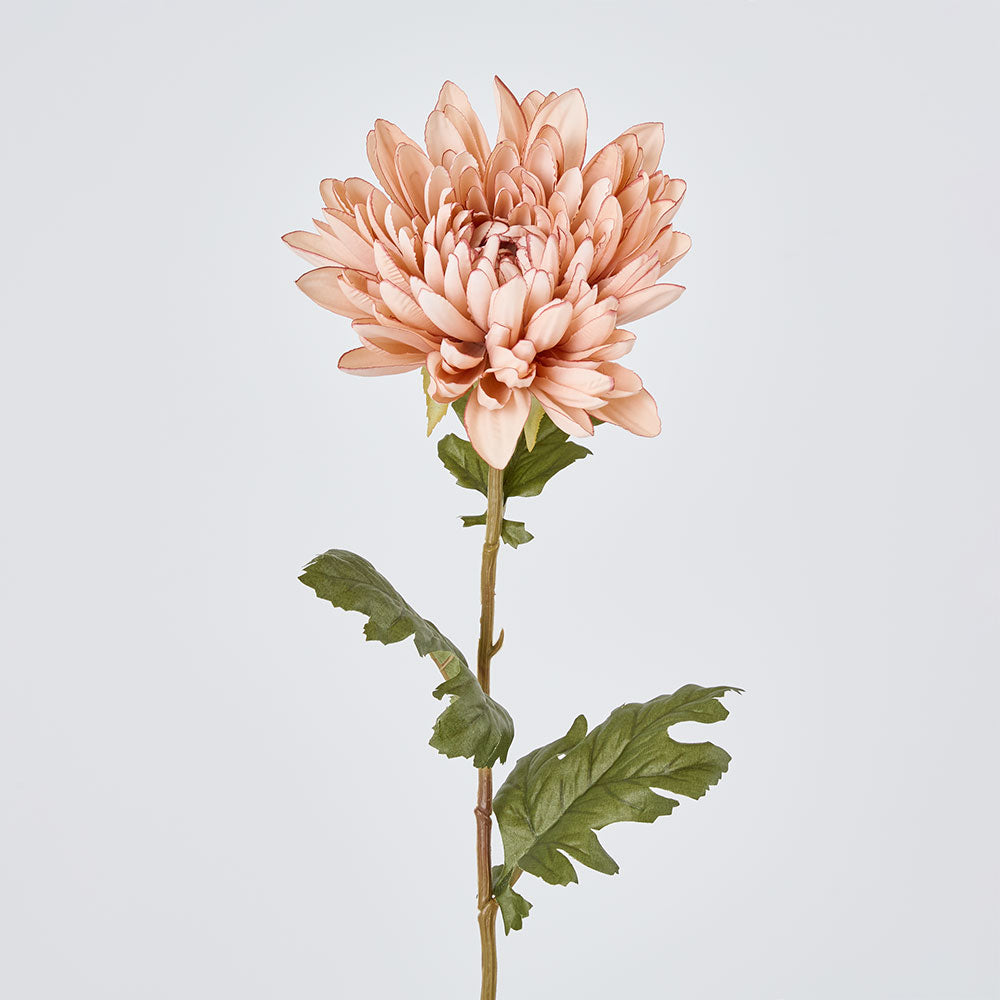 Mum Stem White Pink 69cm