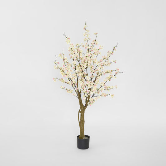 Cherry Blossom Tree 145cm Light Pink