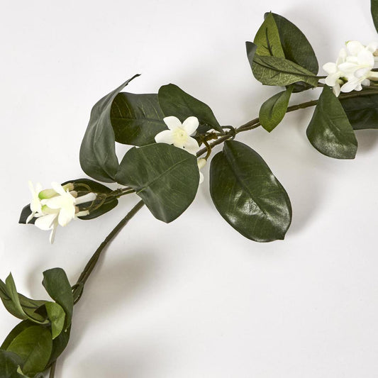 Stephanotis Garland 180cm