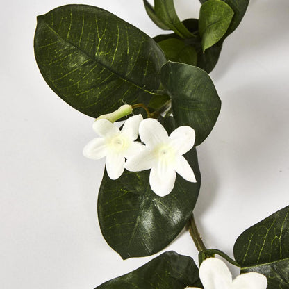 Stephanotis Garland 180cm