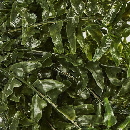 Hanging Bakers Fern