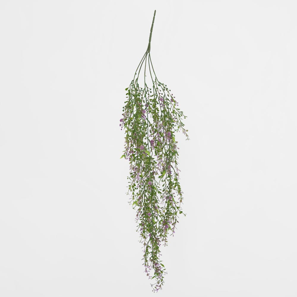 Boxwood Hanging Vine x 5 with Purple Berries
