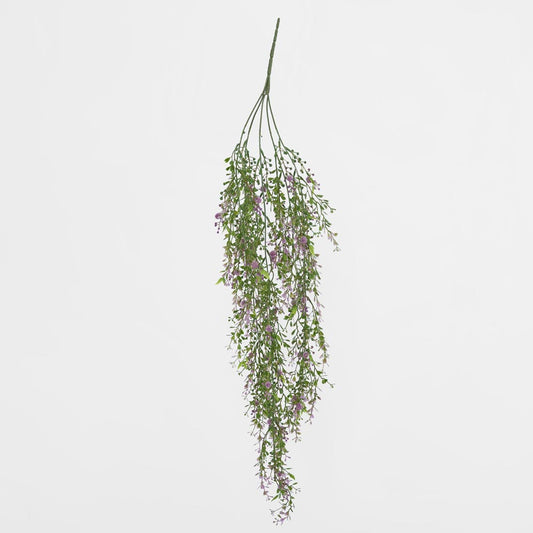 Boxwood Hanging Vine x 5 with Purple Berries