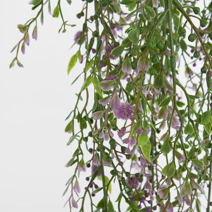 Boxwood Hanging Vine x 5 with Purple Berries