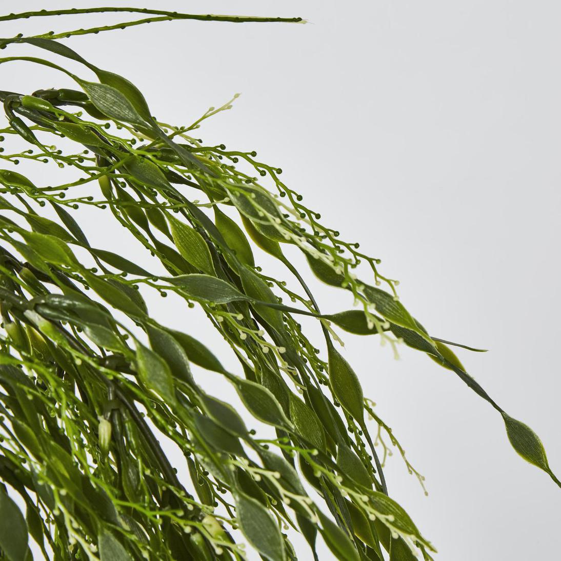 Willow Vine Hanging 65cm