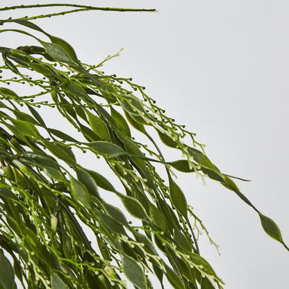 Willow Vine Hanging 65cm