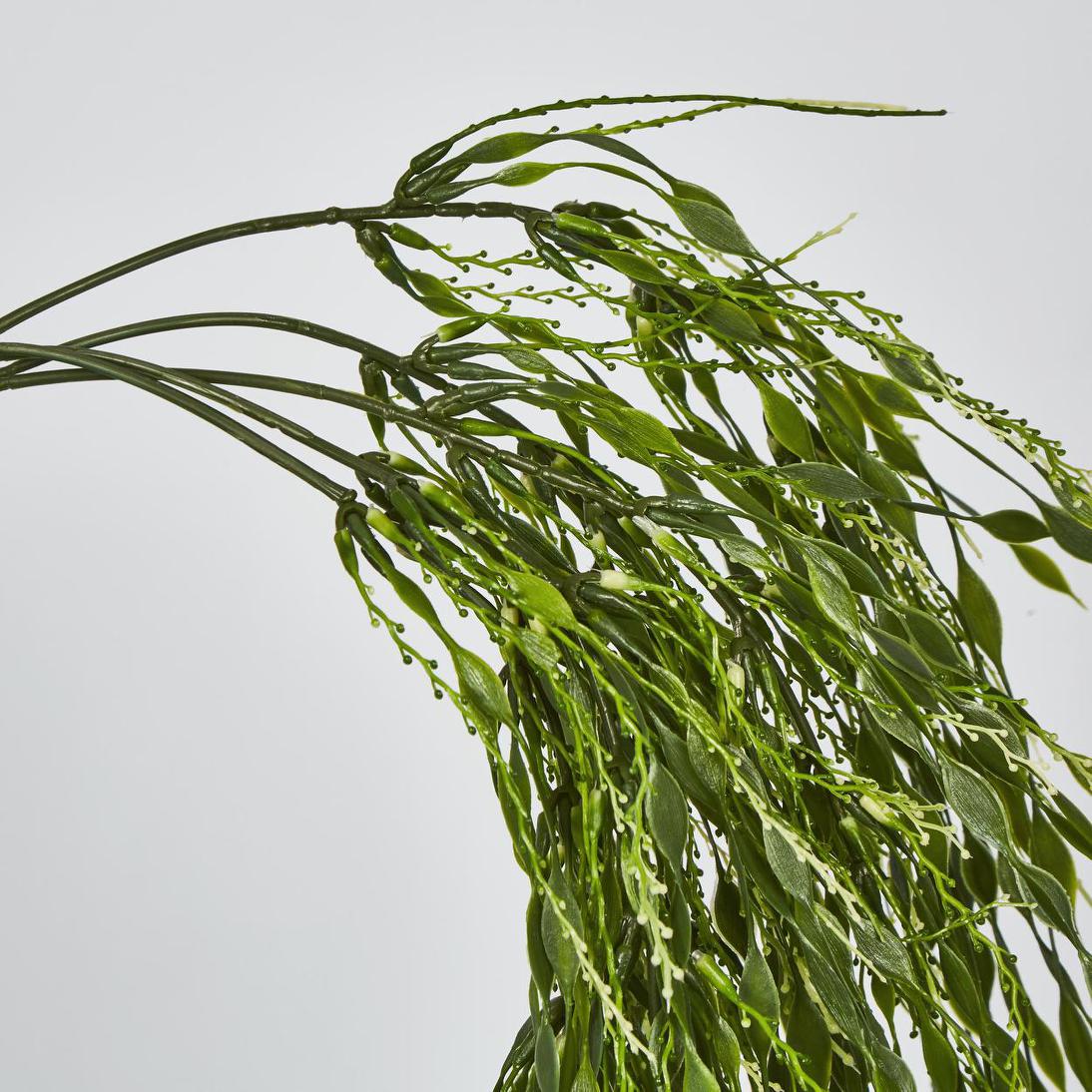 Willow Vine Hanging 65cm