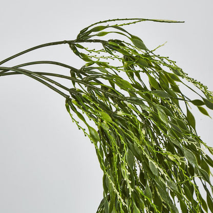 Willow Vine Hanging 65cm