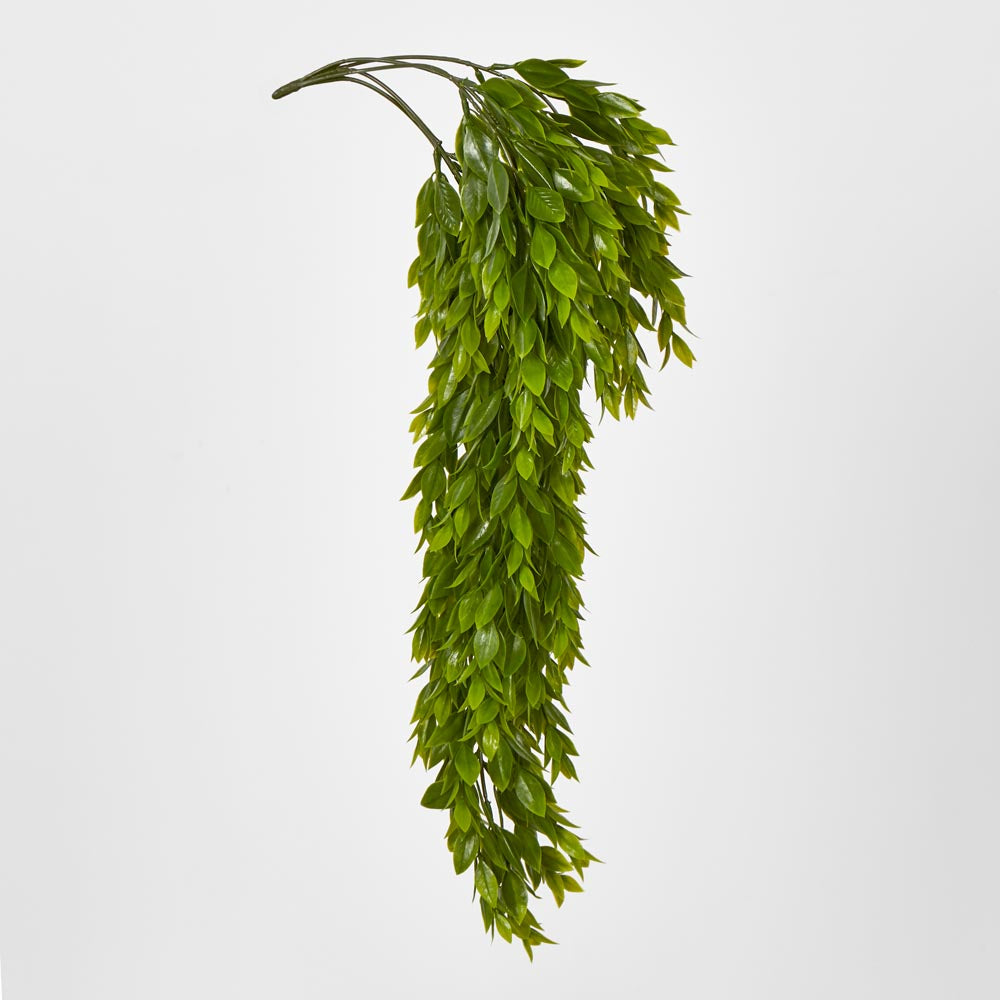 Hanging Ruscus Plant 56cm