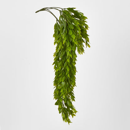 Hanging Ruscus Plant 56cm