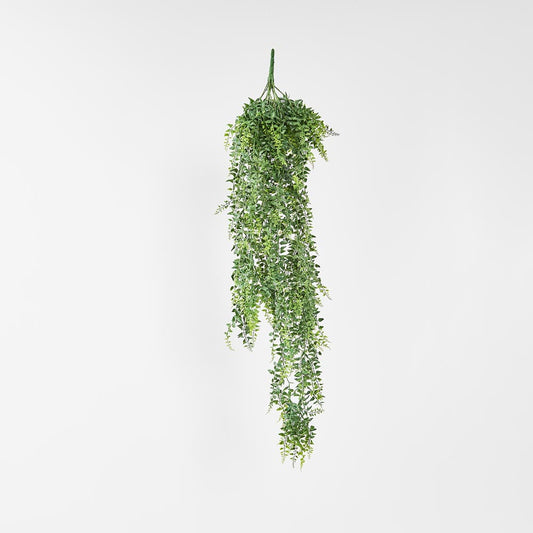 Baker Fern Vine Hanging 67cm Green