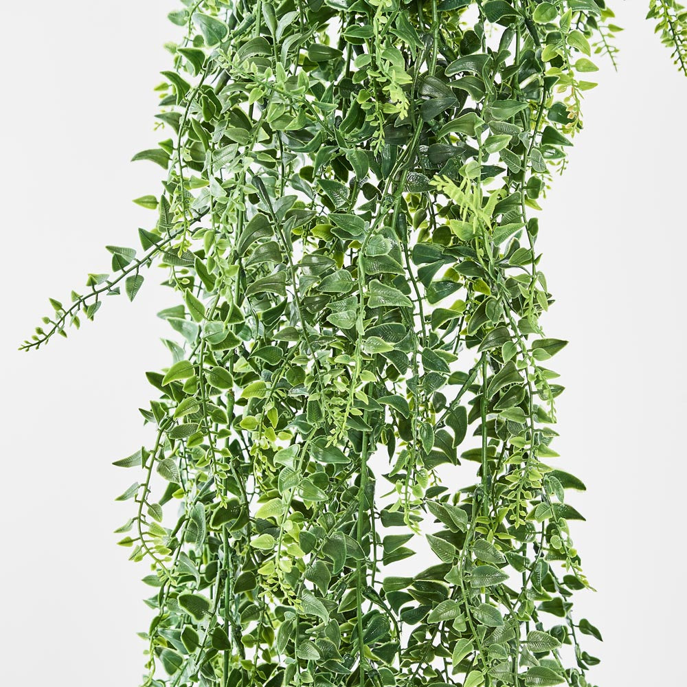 Baker Fern Vine Hanging 67cm Green