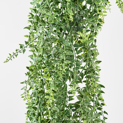 Baker Fern Vine Hanging 67cm Green
