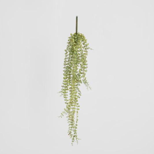 Hanging Button Fern Vine 56cm