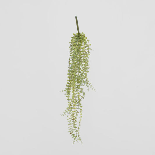 Hanging Button Fern Vine 56cm