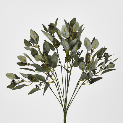 Gum Bush with Navy Berry Seeds
