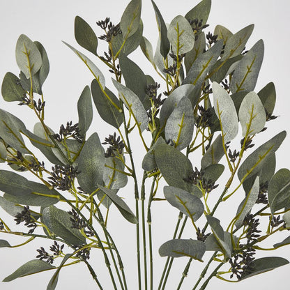 Gum Bush with Navy Berry Seeds