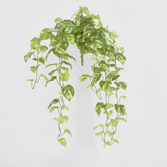 Real Touch Pothos Hanging Bush x 12