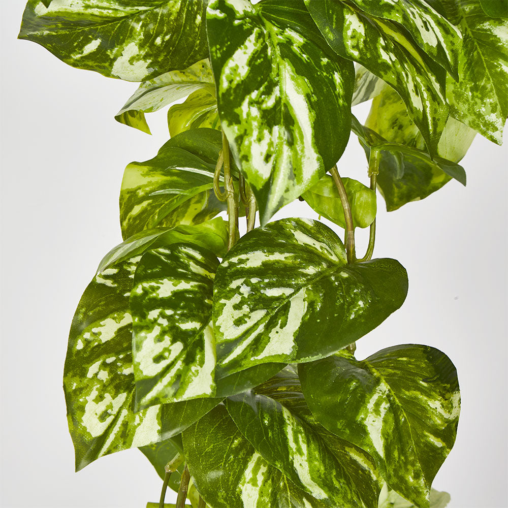 Real Touch Pothos Hanging Bush x 12
