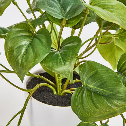 Hanging Philo Leaf Bush in White Pot