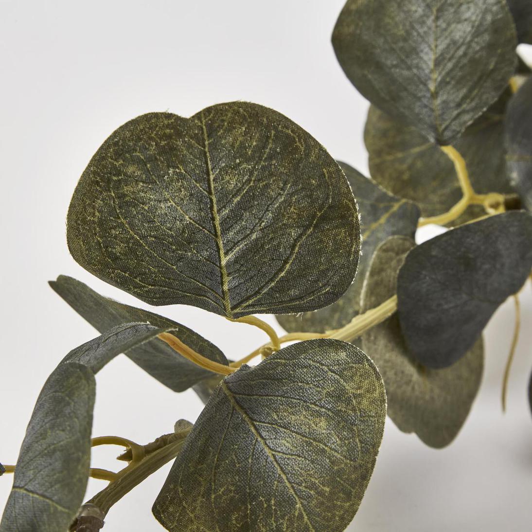Eucalyptus Garland 180cm