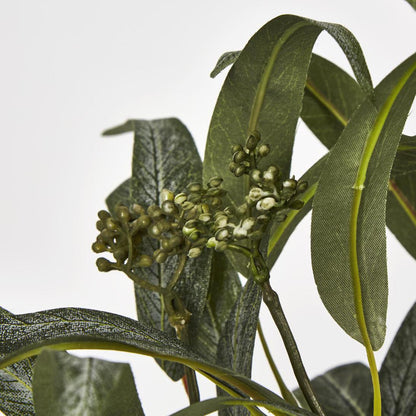 Eucalyptus Seeded Bundle 43cm